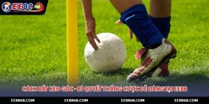 Cách Bắt Kèo Góc - Bí Quyết Thắng Cược Dễ Dàng Tại EE88